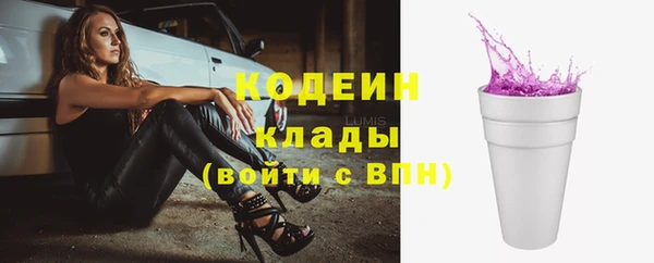 винт Пересвет